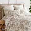 Selesta Blush Euro Sham Set Of 2 - Levtex Home -Interior GUEST 2c07202e 5dbb 487d 9f5b 8ec8405735d1