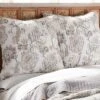 Ophelia Blush Euro Sham Set Of 2 - Levtex Home -Interior GUEST 3f672417 f518 4fb0 8162 0855489c1709